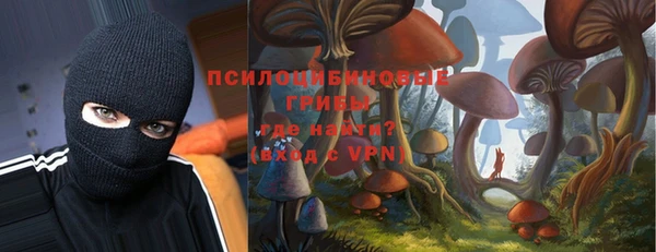 прущий лед Горняк