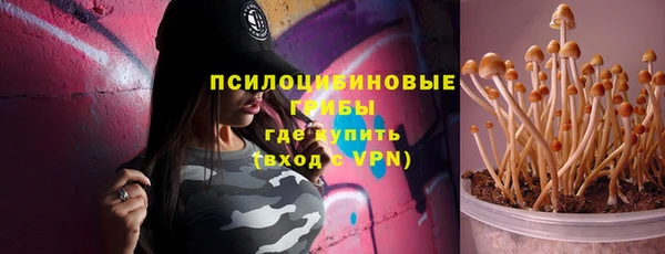 трава Горно-Алтайск
