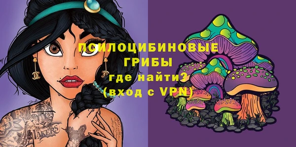 трава Горно-Алтайск