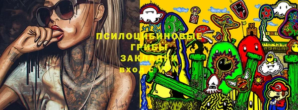 прущий лед Горняк