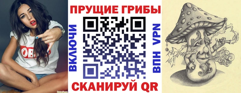 Псилоцибиновые грибы GOLDEN TEACHER  Торжок 